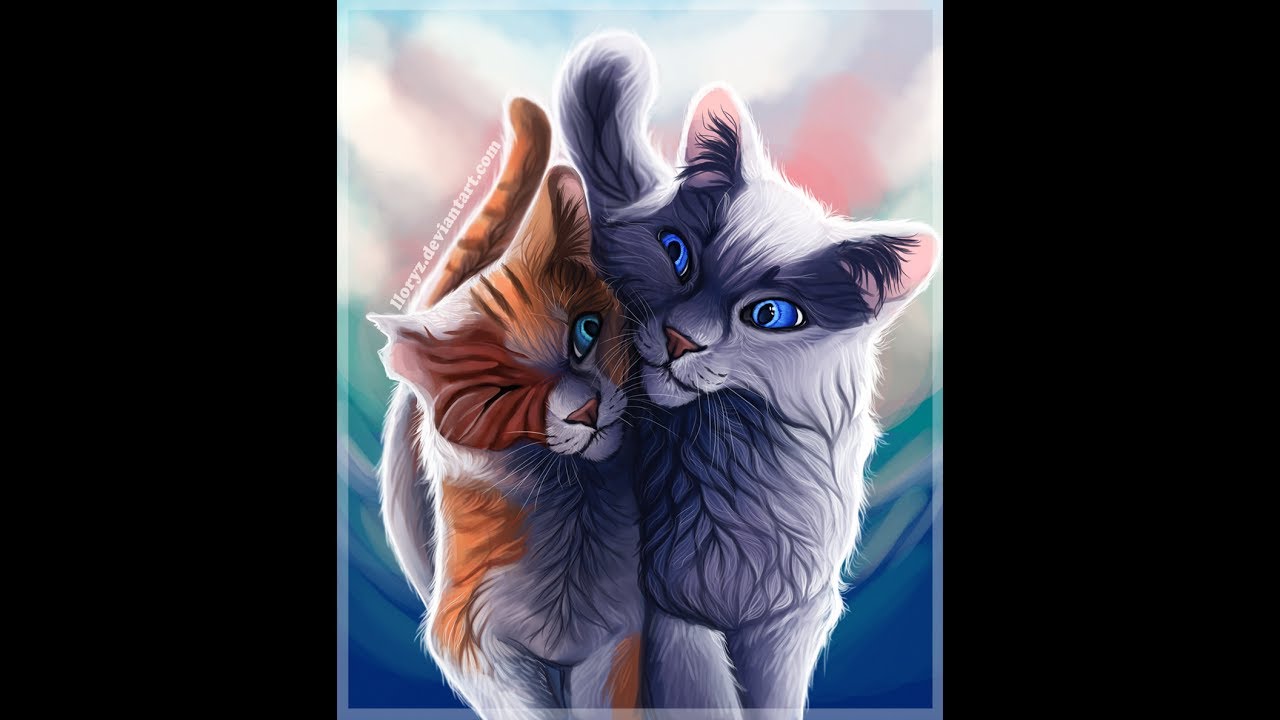 Warrior Cats Lichtherz Und Wolkenschweif