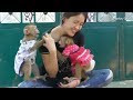 Monkey Dodo | Wow Sweet Mori Help Protect Mom From Dodo Fightt