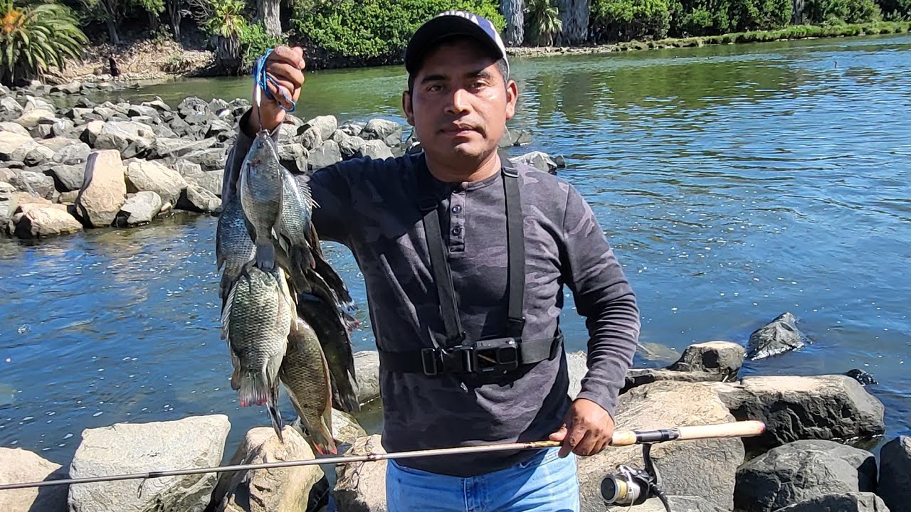 pesca de tilapias con lombris de tierra/ en el rio San Gabriel River 🎣
