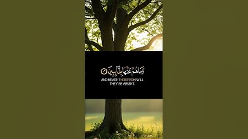 القران الكريم ياسر الدوسري صوت عذب #القرآن_الكريم #اكسبلور #المصحف #القرآن #راحة_نفسية