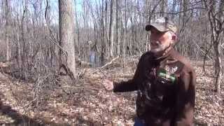 How To Create Predictable Deer Movement using little-known habitat strategies