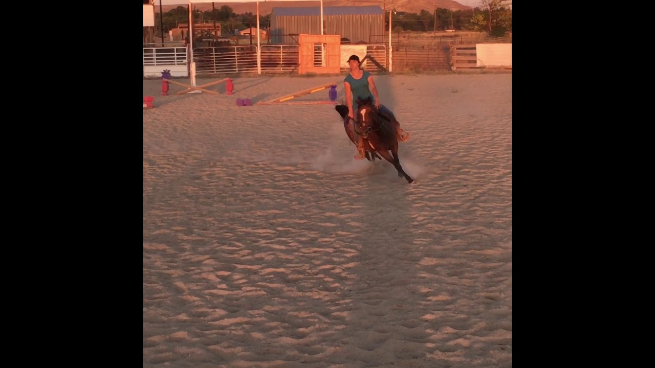 POA horse (mare) for sale, 15 yrs old, broke to ride YouTube