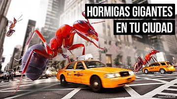 ¿Y si las hormigas fueran más grandes que los humanos?