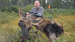 Epic Newfoundland Moose Hunting  Episode #12