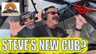 CUB-CURIOUS. Is a CUB Steve's next Airplane?
