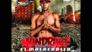 Download El Pote Ft Mandrake Y Clon 876 - Oh Please Video MP3 El Pote Ft Mandrake Y Clon 876 - Oh Please