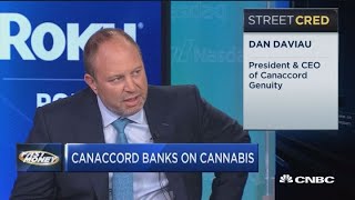 The King Of Cannabis Deals Explains Why Pot Ma Could Just Be Starting To Heat Up