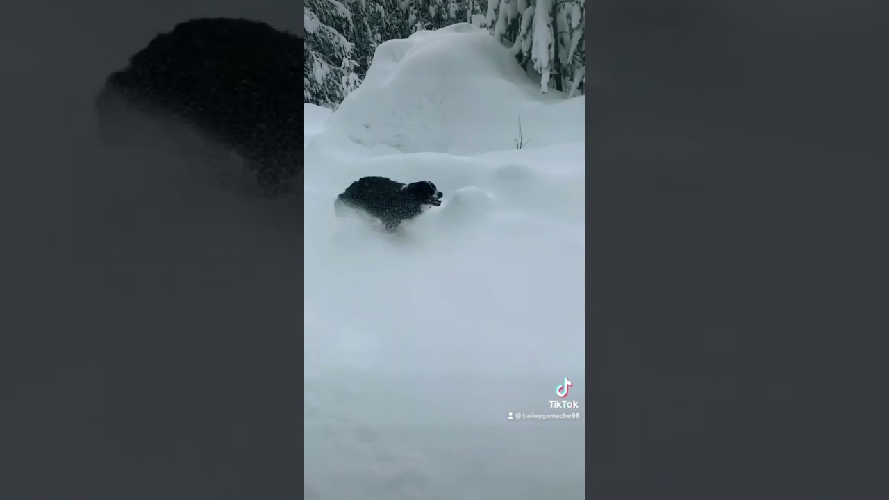 Living’ life smilin’ 