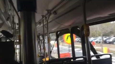 Transdev QLD School Bus Route 5001 PM20