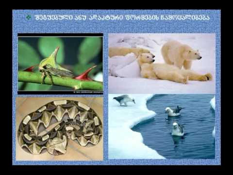 ჟან-ბატისტ ლამარკი (1)