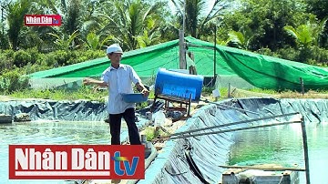 Sinh kế cho người dân vùng đất ngập nước | Thích ứng biến đổi khí hậu