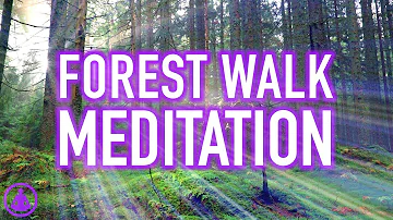 Guided Forest Walk Meditation - Calming and Relaxing Mindfulness Activity