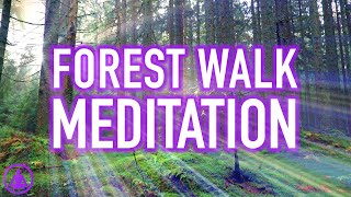 Guided Forest Walk Meditation - Calming and Relaxing Mindfulness Activity