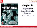 08 BIOL 8470 Module 2 Ch 14.1 14.3
