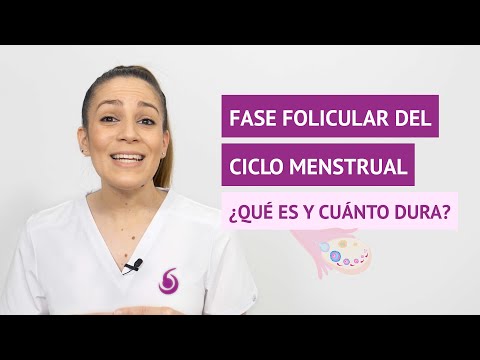 Vídeo: On es produeix la fase proliferativa?