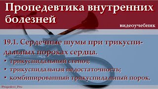 Тема 19.1. Сердечные шумы при трикуспидальных пороках сердца.