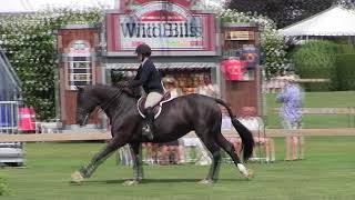 of COSA NOSTRA ridden by MADELINE WRIGHT from ShowNet