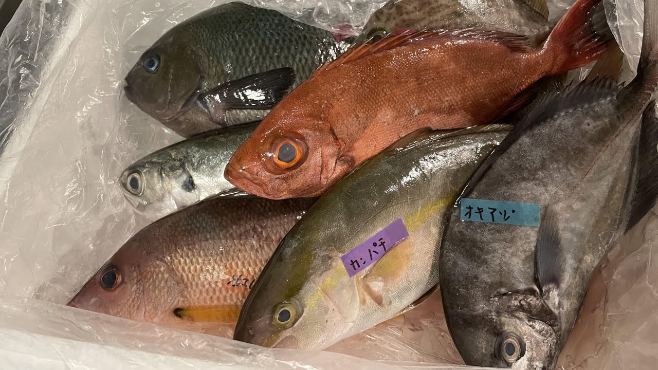 ケンヂ Games Youtube Channel Analytics And Report Powered By Noxinfluencer Mobile