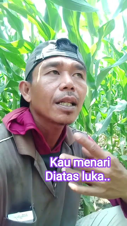menari diatas luka.. #coversong #videoshort #music #dangdut #shorts #hiburan