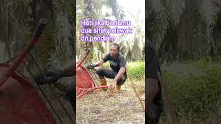 Heart If Two Personalities Meet A Comedian And A Quiet One