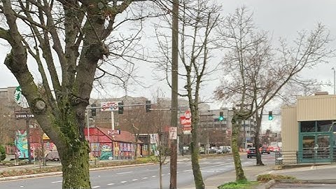 Driving around Seattle, heading towards Canada