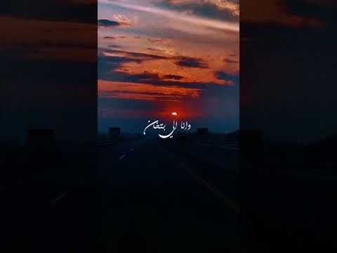 لقيت الحب الافيونه حمو الطيخا مهرجان اغاني مصر