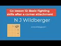 Go lesson 12: Basic fighting skills after a corner attachment | Playing Go | N J Wildberger