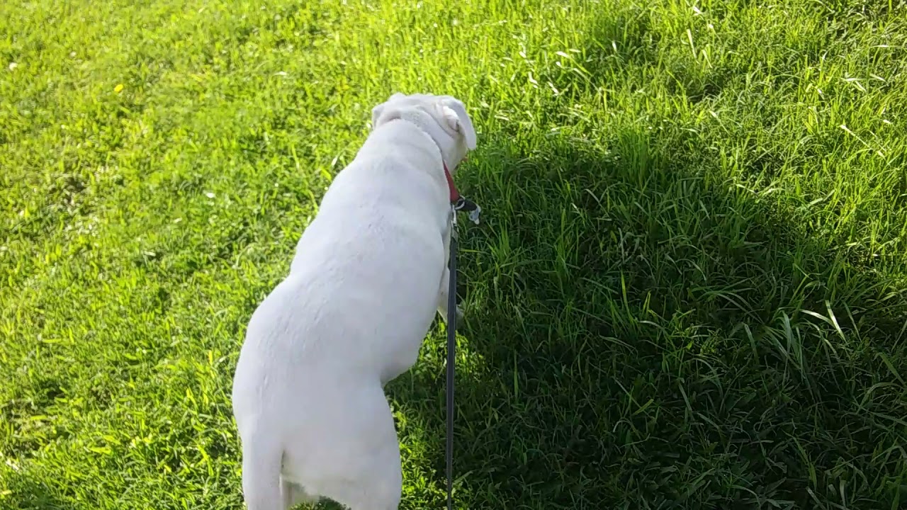 Eagle Mountain Lake West Bay Marina 