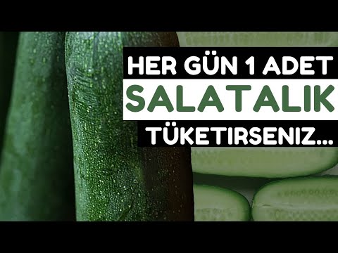 Video: Salatalık Bilgeliği