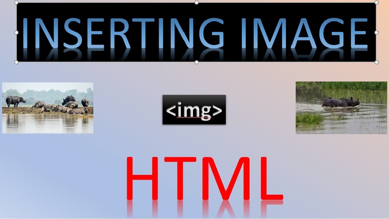 How to insert IMAGE in your web page through HTML code || Class 6 and ...