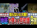 【ティアキン】初心者必見!!地底で必ず役立つ豆知識9選!!【ゼルダの伝説 ティアーズオブザキングダム】
