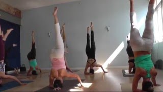 Tripsichore's Summer Courses