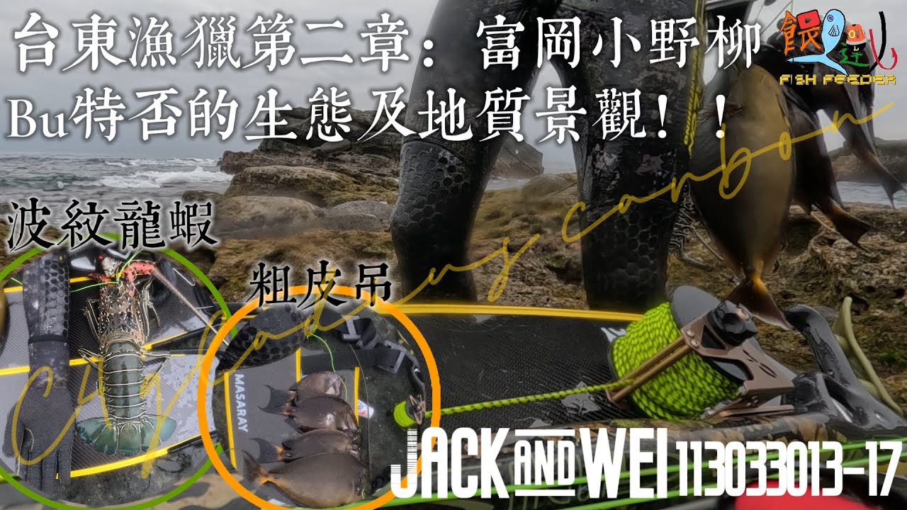 台東漁獵第二篇：小野柳，BU特否的生態與地質景觀FT.偉哥