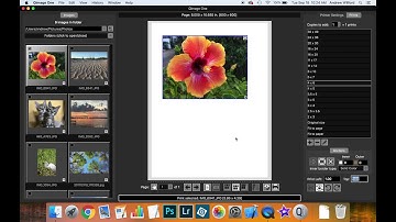 Positioning Prints in Qimage One