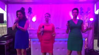 Divas Of Bay