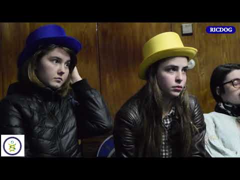 ჯადოსნური წრე