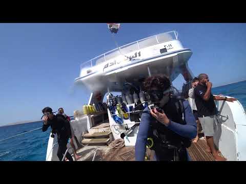 DIVE LOG IN EGYPT