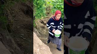 Tavuk yumurtası topladım tavukları besledim | köyde günlük işler 🌿🌼#vlog #asmr #tavuk #organic