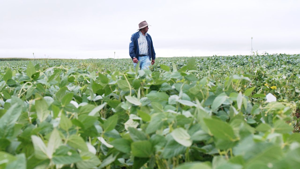 tractor tires The Seeds of Life – A Recipe for the Future (Ep #7) - New Holland Agriculture