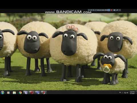 ბეკეკა შონი 2