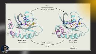 Heterotromatic GTPase Small GTPase in cell cycle and cancer_AO