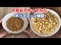 【検証】不発豆を集めてポップコーンを作ってみた!