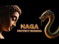 The NAGA Who Sheltered The BUDDHA A Story Of Devotion And Enlightenment The NAGA Who Sheltered The BUDDHA A Story Of Devotion And Enlightenment