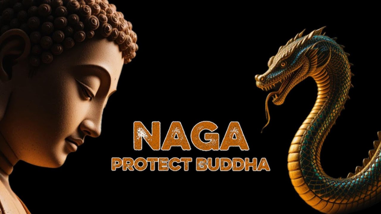 The NAGA Who Sheltered the BUDDHA - A Story of Devotion and Enlightenment
