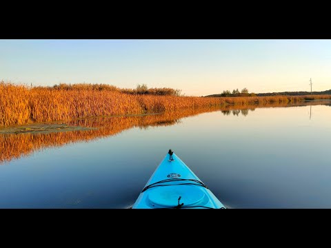 Видео: Воскресная прогулка по реке Суджа - Краски осени!