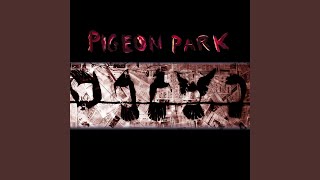 Watch Pigeon Park Its Not That Likely video