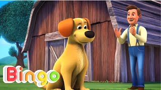  Bingo   Lagu Anak Indonesia Balita 