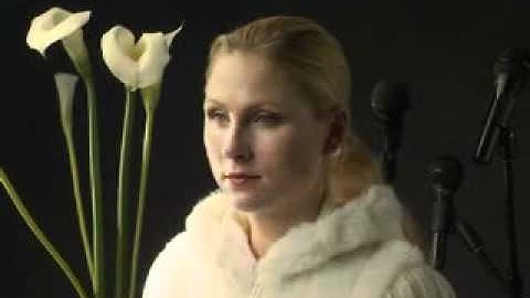 Robert Goodman: Sekonic ProSpeak