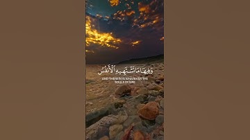 الشيخ محمد اللحيدان تلاوه خاشعه 🎧♥️#محمد_اللحيدان #تلاوة_خاشعة #اكسبلور #quran #لايك#تيك_توك #تلاوات