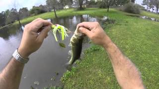 Fhw67 texas pond fishing -